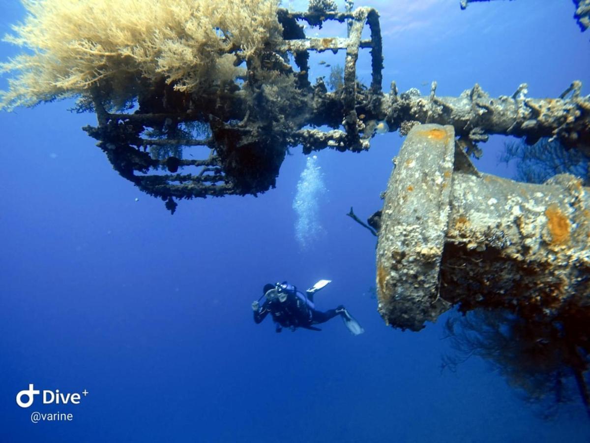 Aqaba Pro Divers 外观 照片