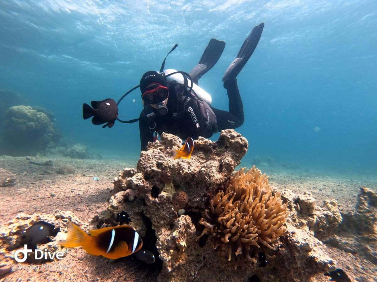 Aqaba Pro Divers 外观 照片