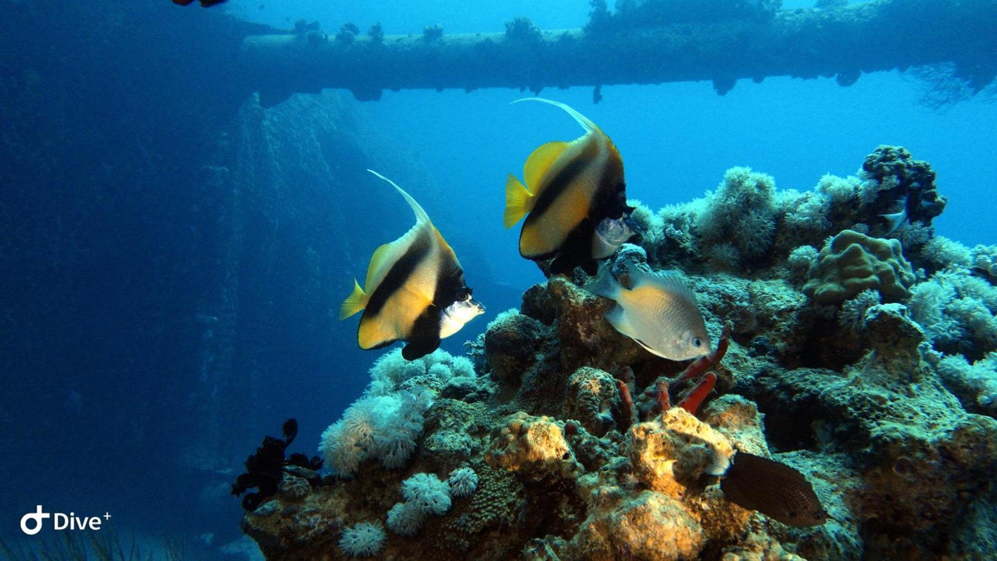 Aqaba Pro Divers 外观 照片