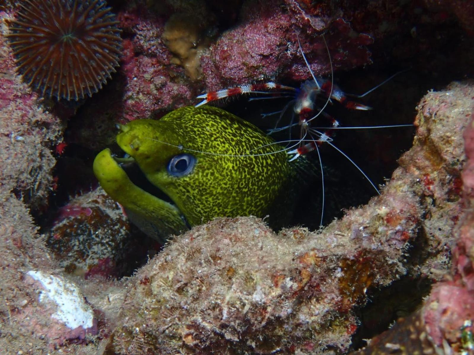 Aqaba Pro Divers 外观 照片