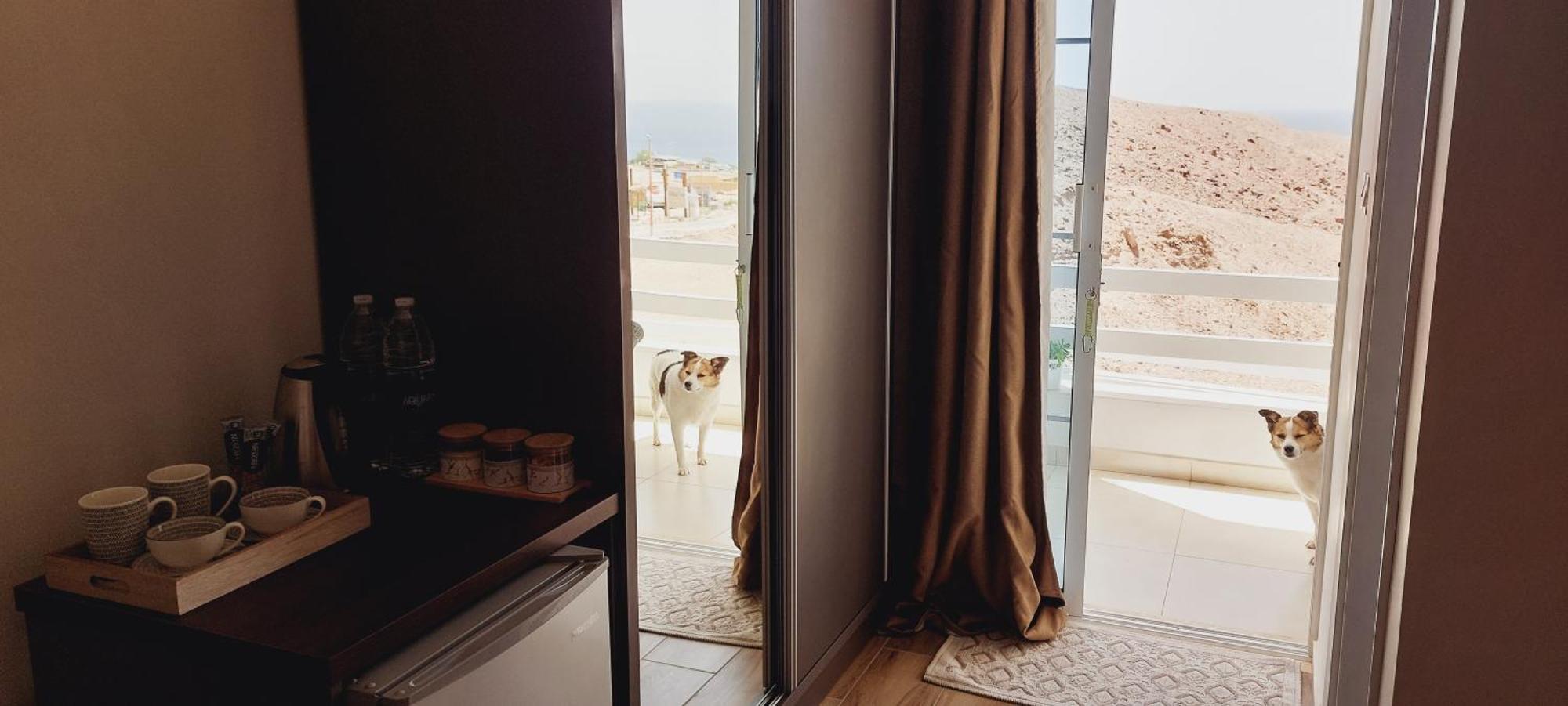 Aqaba Pro Divers 外观 照片