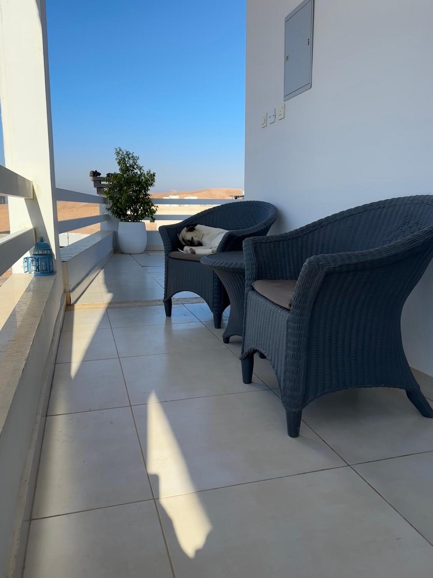Aqaba Pro Divers 外观 照片