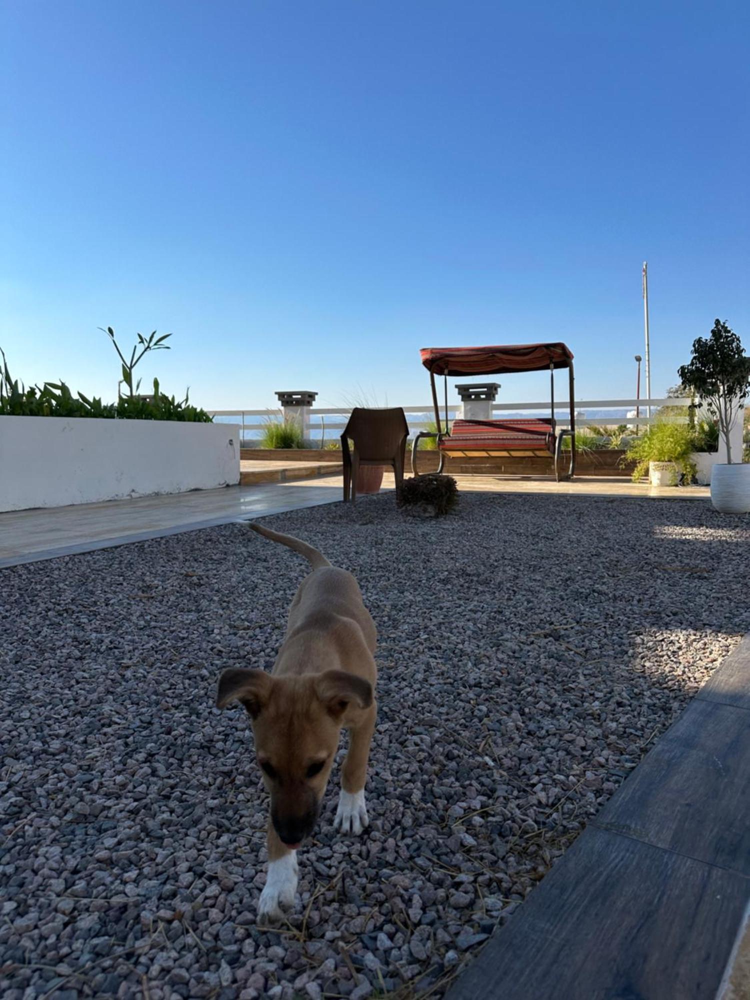 Aqaba Pro Divers 外观 照片
